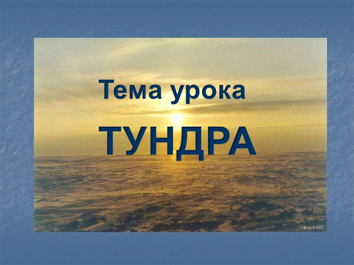 Презентация по окружающему миру на тему "Тундра" - Скачать школьные презентации PowerPoint бесплатно | Портал бесплатных презентаций school-present.com