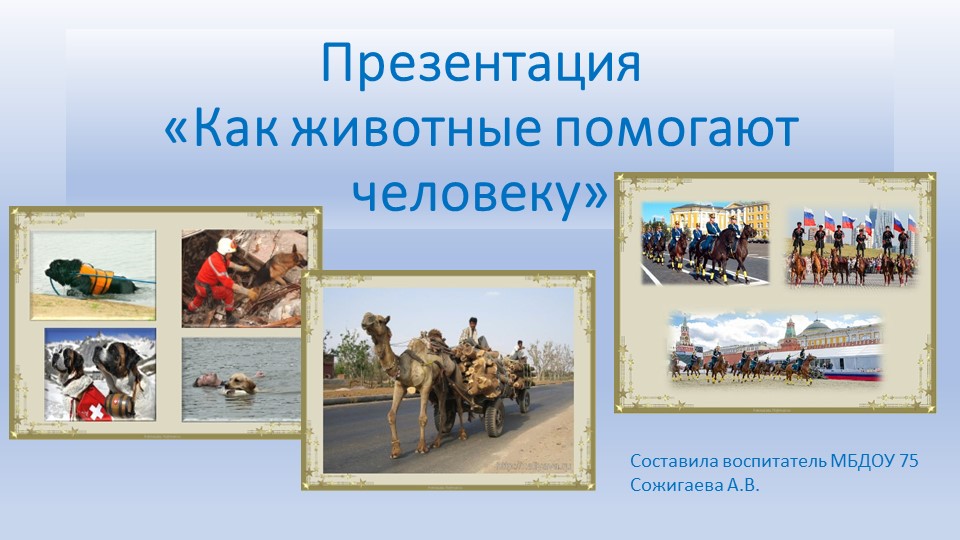 Презентация по окружающему миру "Как животные помогают человеку" - Скачать школьные презентации PowerPoint бесплатно | Портал бесплатных презентаций school-present.com