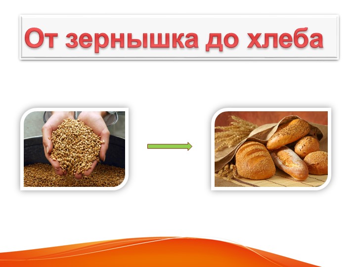 "От зернышка до хлеба" - Скачать школьные презентации PowerPoint бесплатно | Портал бесплатных презентаций school-present.com