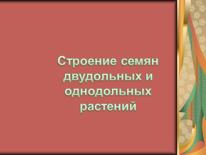 Сравнение строения сесмени однодольных и двудольных растений - Скачать школьные презентации PowerPoint бесплатно | Портал бесплатных презентаций school-present.com