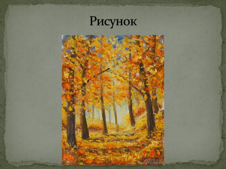 Презентация к уроку "Виды изображения земной поверхности (5 класс) - Скачать школьные презентации PowerPoint бесплатно | Портал бесплатных презентаций school-present.com