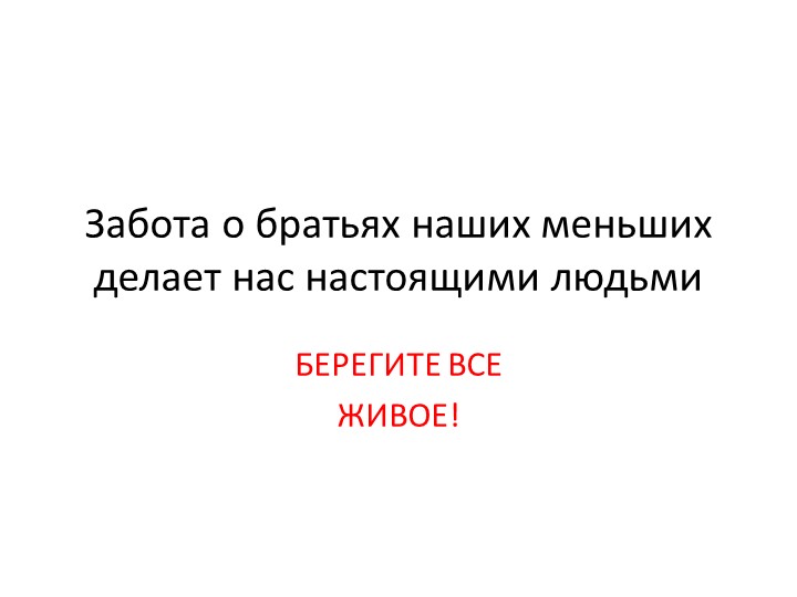 Презентация "Забота о братьях наших меньших." - Скачать школьные презентации PowerPoint бесплатно | Портал бесплатных презентаций school-present.com
