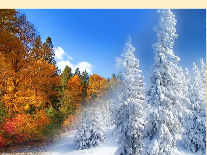 Презентация к уроку немецкого языка в 6 классе "Рождество" - Скачать школьные презентации PowerPoint бесплатно | Портал бесплатных презентаций school-present.com