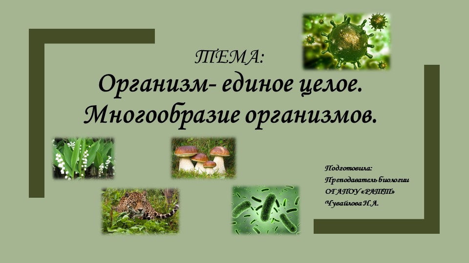 Презентация по биологии "Организм-единое целое. Многообразие организмов" - Скачать школьные презентации PowerPoint бесплатно | Портал бесплатных презентаций school-present.com