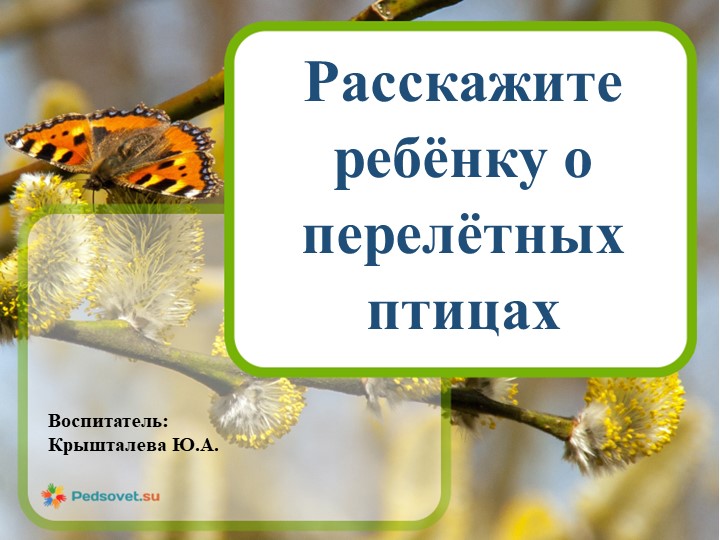 Презентация "Знакомство дошкольников с перелетными птицами" - Скачать школьные презентации PowerPoint бесплатно | Портал бесплатных презентаций school-present.com