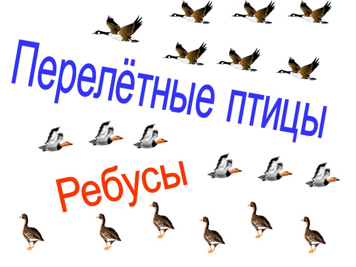 Ребусы на тему "Перелетные птицы" - Скачать школьные презентации PowerPoint бесплатно | Портал бесплатных презентаций school-present.com