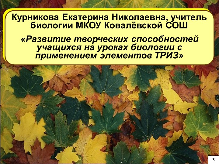 Презентация мастер-класса Теория РИЗ - Скачать школьные презентации PowerPoint бесплатно | Портал бесплатных презентаций school-present.com