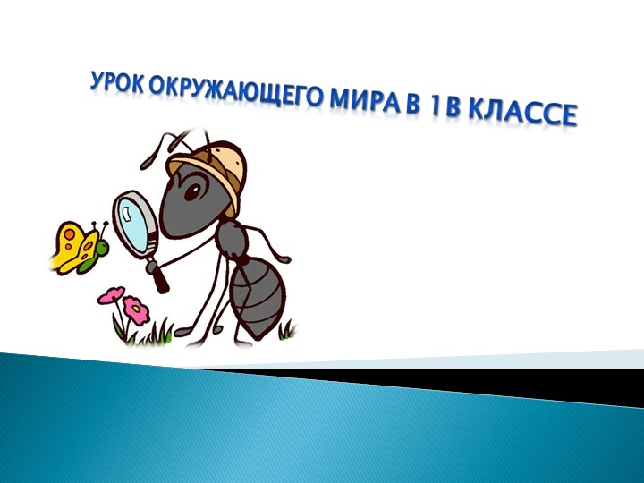 Презентация по окружающему миру "Все профессии важны" (1 класс) - Скачать школьные презентации PowerPoint бесплатно | Портал бесплатных презентаций school-present.com