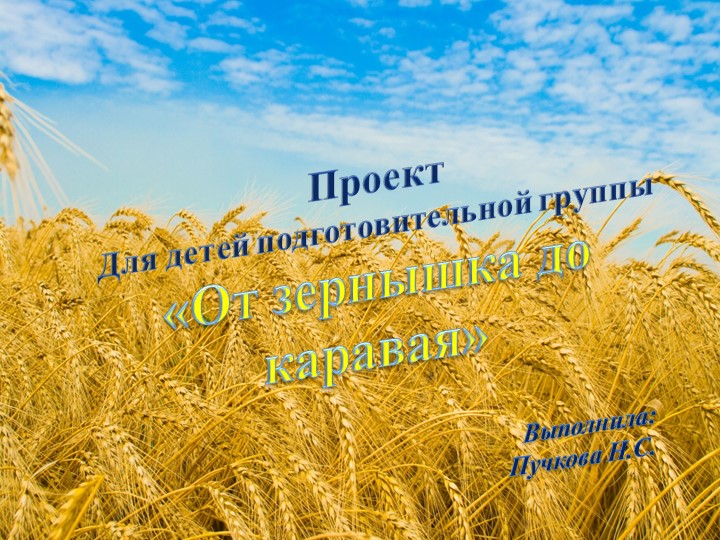 Проект "От зернышка до каравая" - Скачать школьные презентации PowerPoint бесплатно | Портал бесплатных презентаций school-present.com