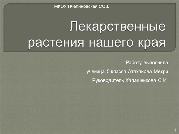 Презентация к проекту "Лекарственные растения нашего края" - Скачать школьные презентации PowerPoint бесплатно | Портал бесплатных презентаций school-present.com