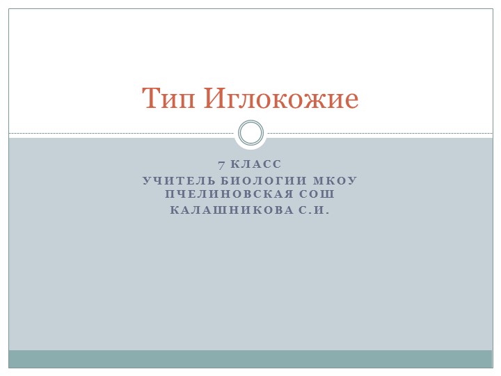 Презентация по биологии "Тип Иглокожие" (7 класс) - Скачать школьные презентации PowerPoint бесплатно | Портал бесплатных презентаций school-present.com