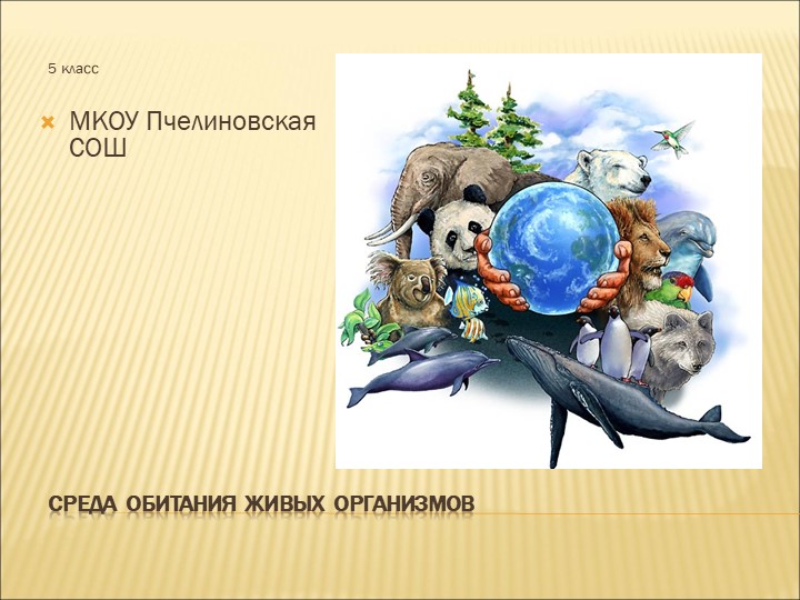 Презентация по биологии "Среды жизни" (5 класс) - Скачать школьные презентации PowerPoint бесплатно | Портал бесплатных презентаций school-present.com