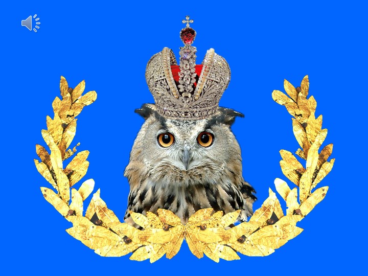 Презентация внеурочной деятельности "Что? Где? Когда?" 5-7 классы - Скачать школьные презентации PowerPoint бесплатно | Портал бесплатных презентаций school-present.com