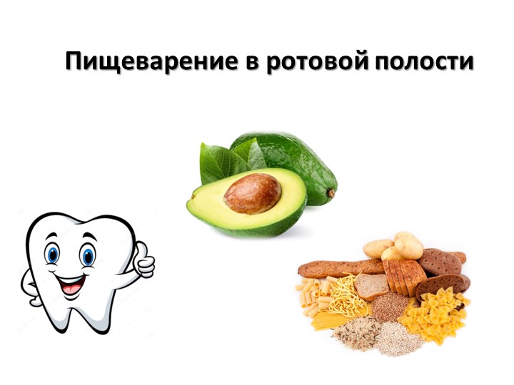 Презентация к уроку "Пищеварение в ротовой полости" - Скачать школьные презентации PowerPoint бесплатно | Портал бесплатных презентаций school-present.com