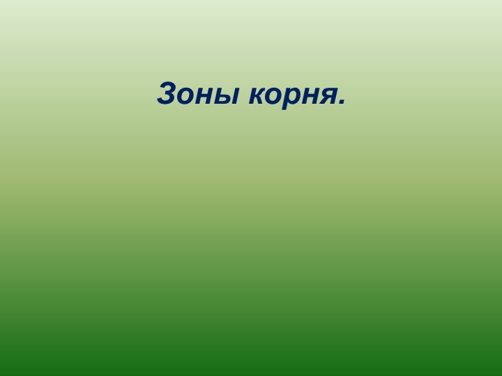 Презентация на тему "Зоны корня" - Скачать школьные презентации PowerPoint бесплатно | Портал бесплатных презентаций school-present.com