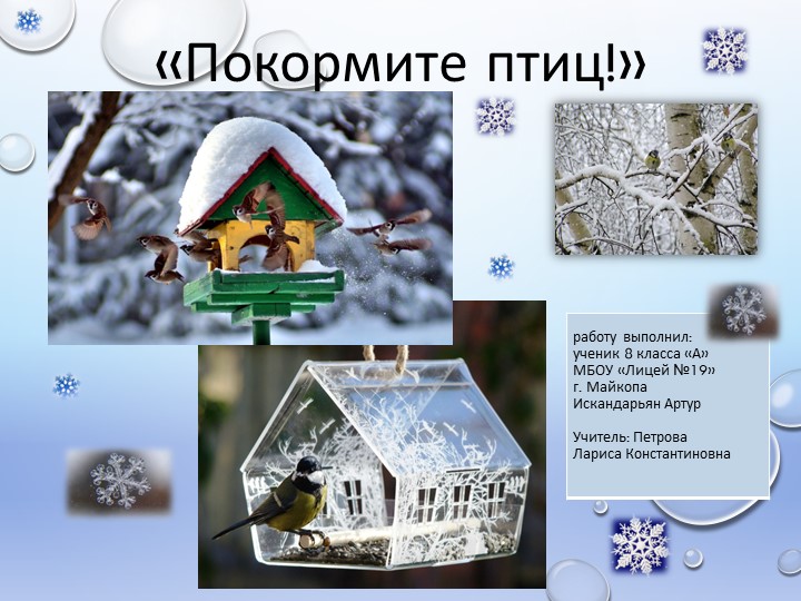 " Покормите птиц ". - Скачать школьные презентации PowerPoint бесплатно | Портал бесплатных презентаций school-present.com