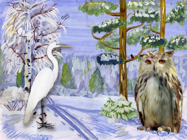 Дифференциация звуков [С]- [Ц] в слогах, словах. 2 класс - Скачать школьные презентации PowerPoint бесплатно | Портал бесплатных презентаций school-present.com