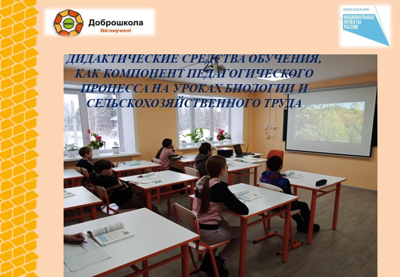 ДИДАКТИЧЕСКИЕ СРЕДСТВА ОБУЧЕНИЯ, КАК КОМПОНЕНТ ПЕДАГОГИЧЕСКОГО ПРОЦЕССА НА УРОКАХ БИОЛОГИИ И СЕЛЬСКОХОЗЯЙСТВЕННОГО ТРУДА - Скачать школьные презентации PowerPoint бесплатно | Портал бесплатных презентаций school-present.com