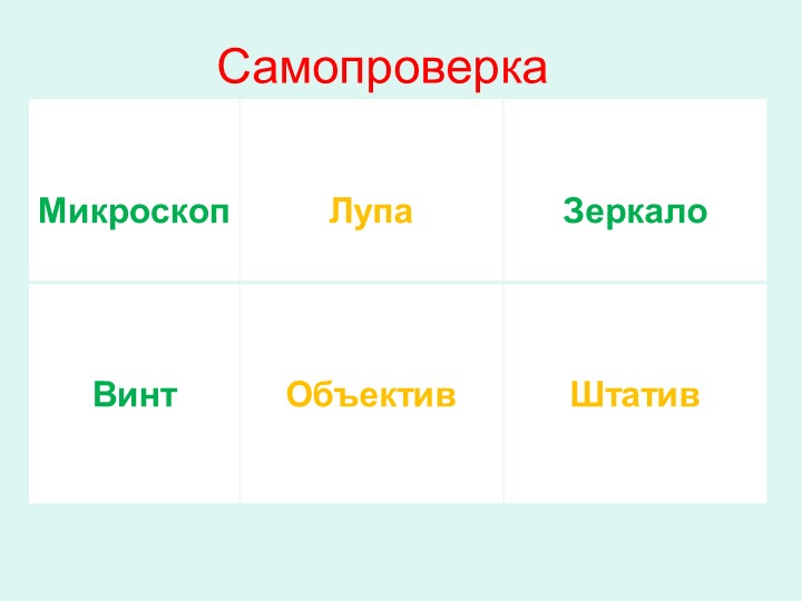 Презентация, " Строение клетки" - Скачать школьные презентации PowerPoint бесплатно | Портал бесплатных презентаций school-present.com