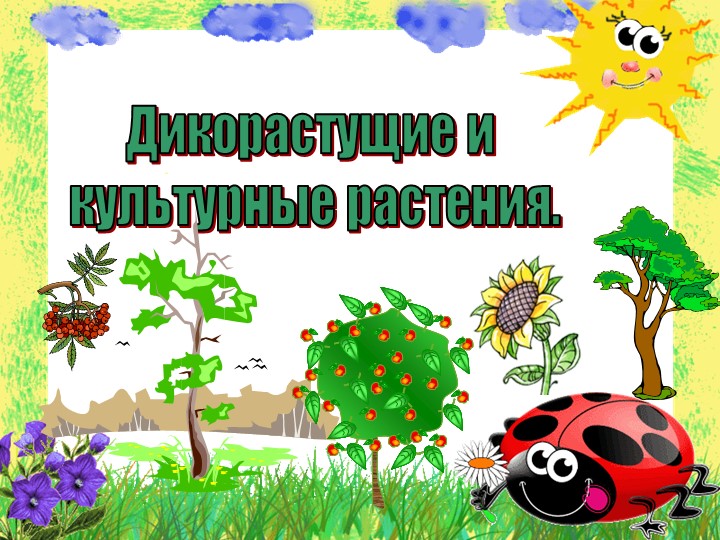 Презентация на тему "Дикорастущие и культурные растения" - Скачать школьные презентации PowerPoint бесплатно | Портал бесплатных презентаций school-present.com