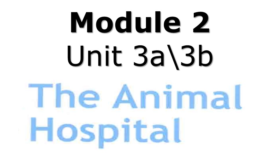 Презентация по английскому языку "Animal hospital" 4 класс - Скачать школьные презентации PowerPoint бесплатно | Портал бесплатных презентаций school-present.com