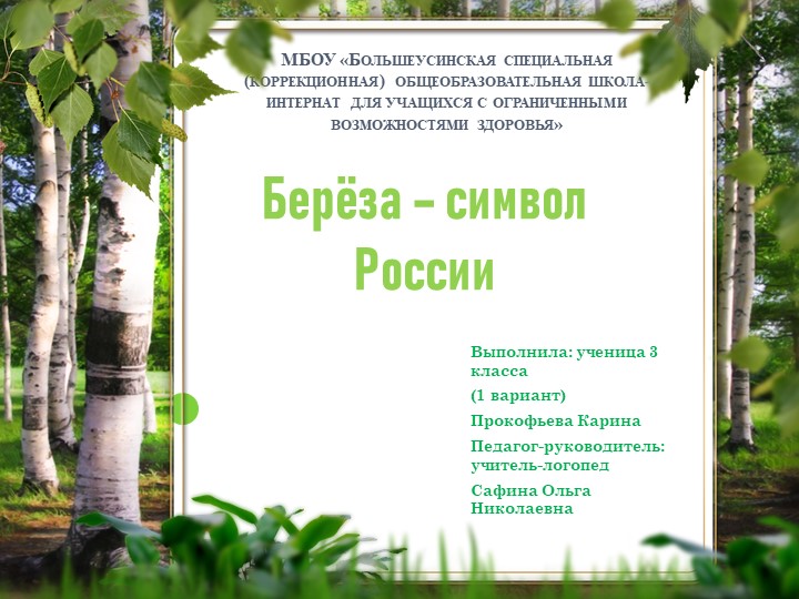 Исследовательский проект "Берёза - символ России" - Скачать школьные презентации PowerPoint бесплатно | Портал бесплатных презентаций school-present.com