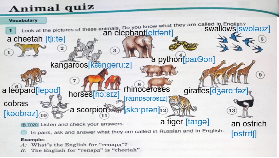 Презентация по английскому языку 7 класс "Animal quiz" - Скачать школьные презентации PowerPoint бесплатно | Портал бесплатных презентаций school-present.com