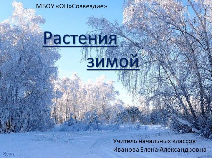 Презентация по миру природы и человека на тему "Растения зимой" 4 класс - Скачать школьные презентации PowerPoint бесплатно | Портал бесплатных презентаций school-present.com