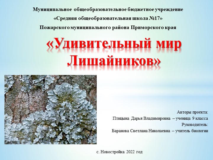 Индивидуальный проект 9 класс - Скачать школьные презентации PowerPoint бесплатно | Портал бесплатных презентаций school-present.com