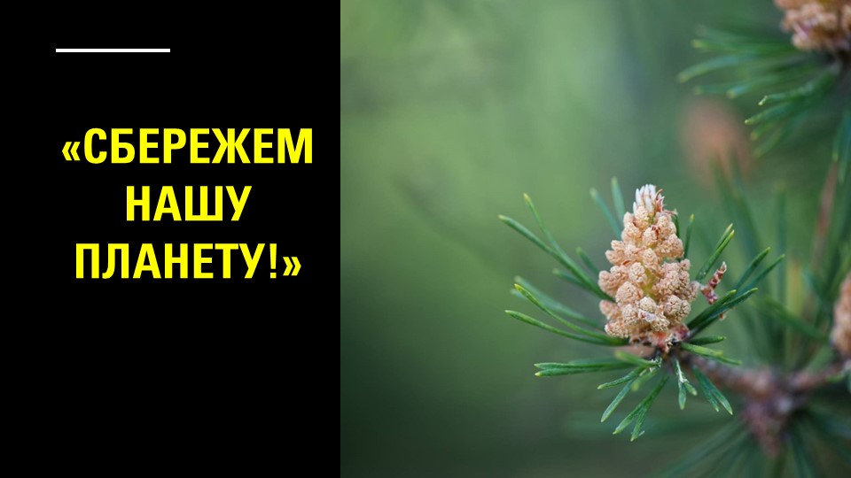 Час общения "Сбережем нашу планету!" - Скачать школьные презентации PowerPoint бесплатно | Портал бесплатных презентаций school-present.com