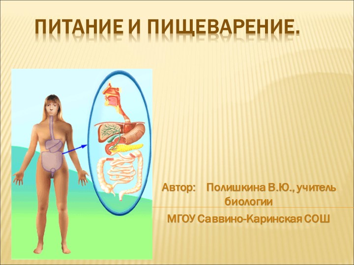 Открытый урок 8кл"Строение пищеварительной системы" - Скачать школьные презентации PowerPoint бесплатно | Портал бесплатных презентаций school-present.com