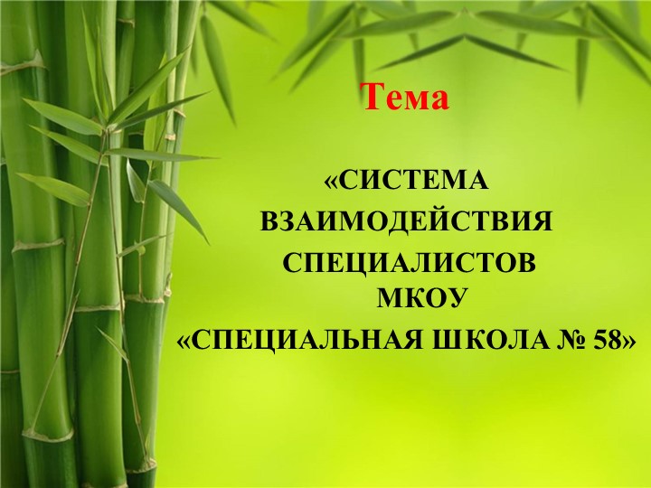 Система взаимодействия специалистов в психолого-педагогическом и медико-социальном сопровождении обучающихся с интеллектуальными нарушениями - Скачать школьные презентации PowerPoint бесплатно | Портал бесплатных презентаций school-present.com