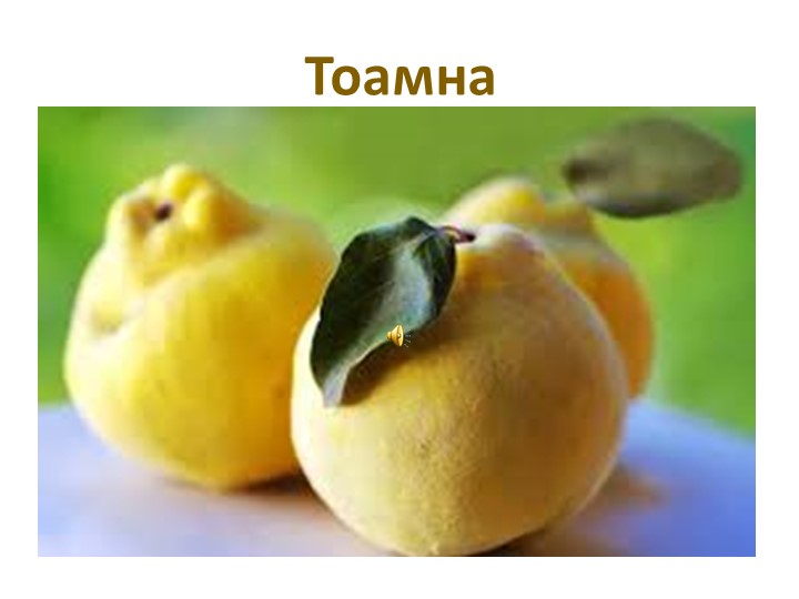 Презентация к открытому уроку "Осень" - Скачать школьные презентации PowerPoint бесплатно | Портал бесплатных презентаций school-present.com