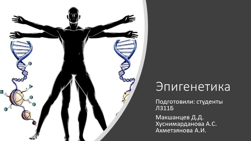 Презентация на тему: "Эпигенетика" - Скачать школьные презентации PowerPoint бесплатно | Портал бесплатных презентаций school-present.com