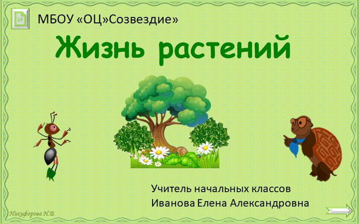 Презентация по окружающему миру на тему "Жизнь растений" 2 класс - Скачать школьные презентации PowerPoint бесплатно | Портал бесплатных презентаций school-present.com
