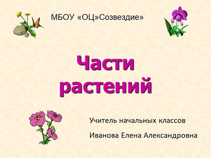 Презентация по окружающему миру на тему "Части растений" 2 класс - Скачать школьные презентации PowerPoint бесплатно | Портал бесплатных презентаций school-present.com