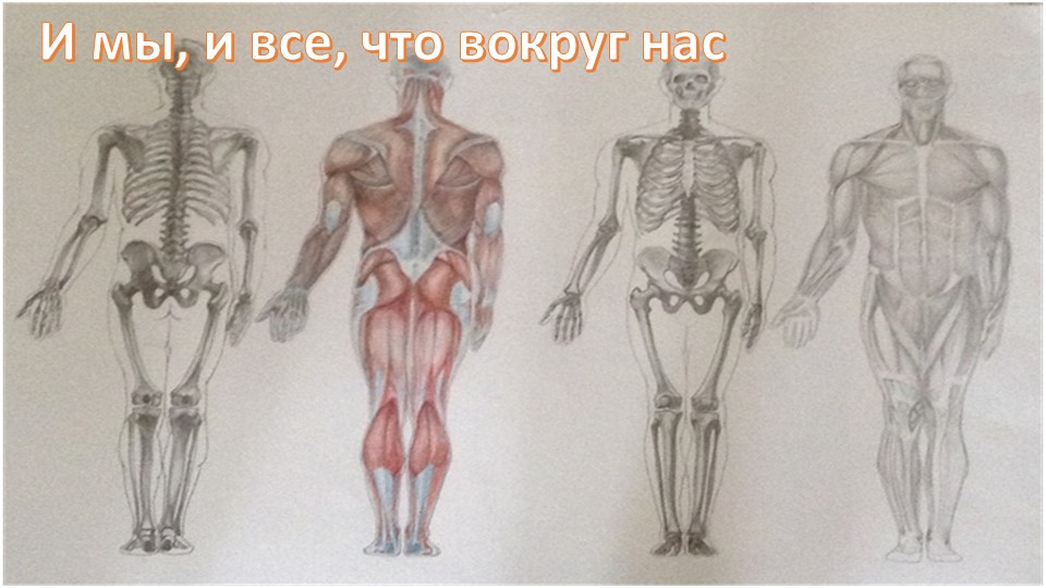 Игра-викторина "И мы, и все, что вокруг нас" - Скачать школьные презентации PowerPoint бесплатно | Портал бесплатных презентаций school-present.com