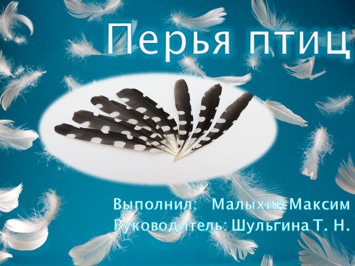 Презентация по обществознанию на тему " Перья". - Скачать школьные презентации PowerPoint бесплатно | Портал бесплатных презентаций school-present.com