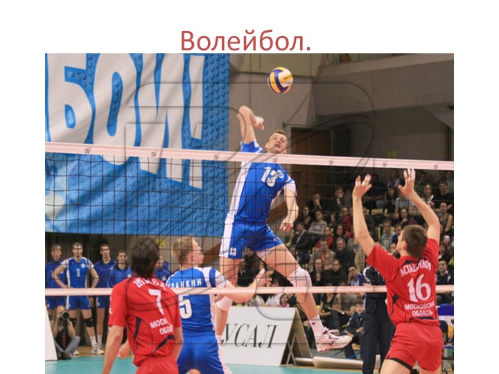 Техника безопастности при занятиях по волейболу. - Скачать школьные презентации PowerPoint бесплатно | Портал бесплатных презентаций school-present.com