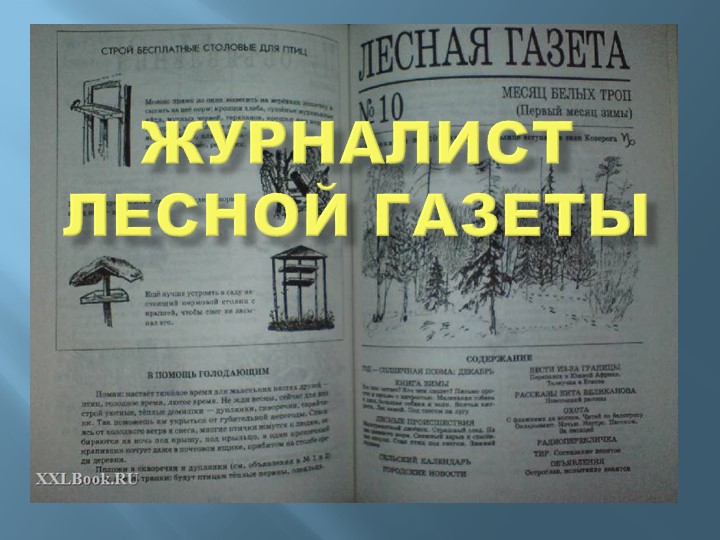 "Журналист лесной газеты" (по творчеству В. Бианки) - Скачать школьные презентации PowerPoint бесплатно | Портал бесплатных презентаций school-present.com