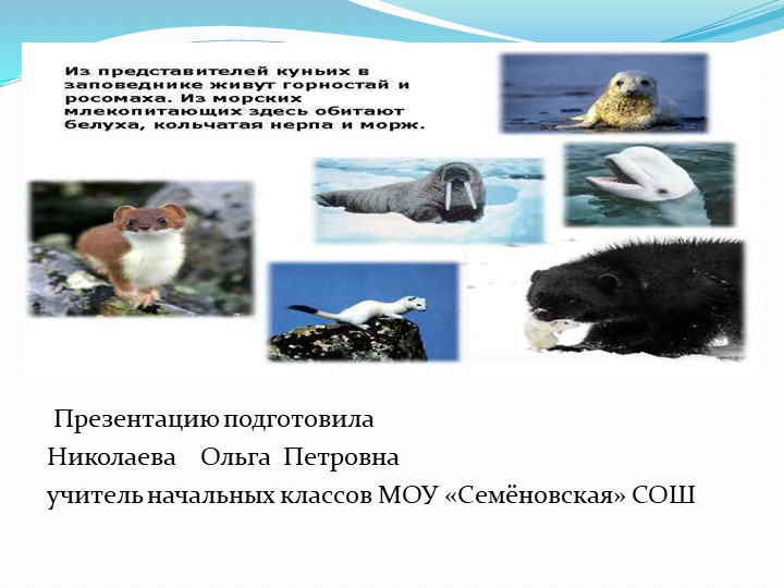 Презентация "Таймырский заповедник" 4 класс - Скачать школьные презентации PowerPoint бесплатно | Портал бесплатных презентаций school-present.com