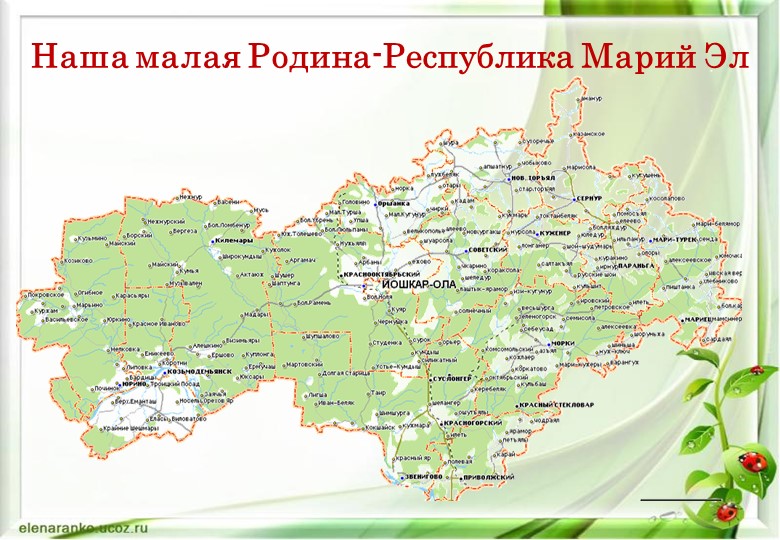 Презентация к уроку биологии в 8 классе. - Скачать школьные презентации PowerPoint бесплатно | Портал бесплатных презентаций school-present.com
