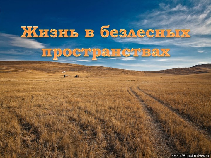 Презентация по географии на тему "Жизнь в безлесных пространствах" (6 класс) - Скачать школьные презентации PowerPoint бесплатно | Портал бесплатных презентаций school-present.com