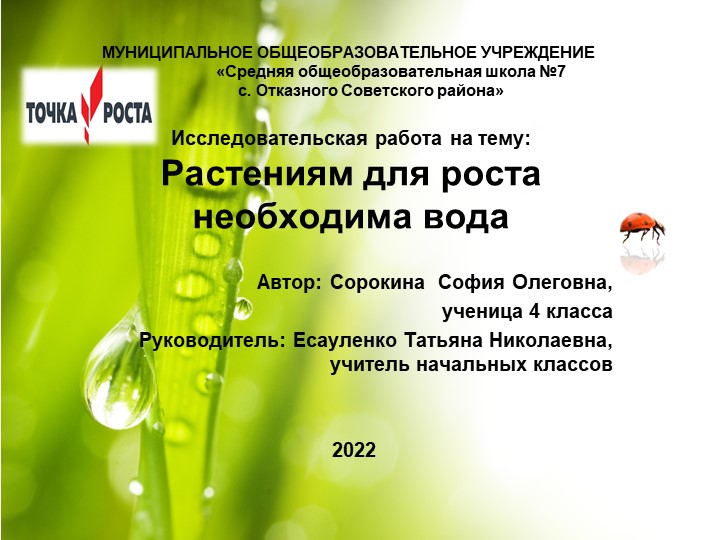 Исследовательская работа на тему: "Растениям для роста необходима вода" - Скачать школьные презентации PowerPoint бесплатно | Портал бесплатных презентаций school-present.com
