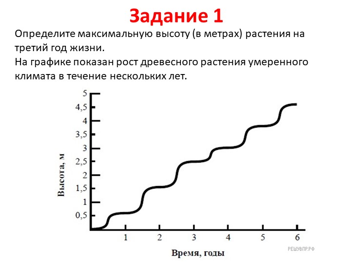 Презентация по биологии на тему "Описание результатов исследований" (5 класс) - Скачать школьные презентации PowerPoint бесплатно | Портал бесплатных презентаций school-present.com