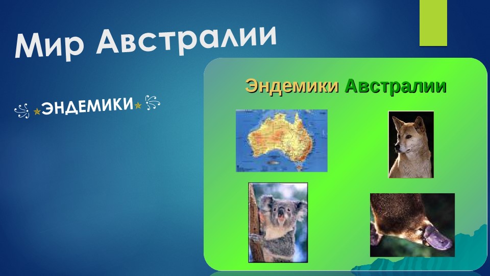 Презентация по географии "Эндемики Австралии" ( 7 класс) - Скачать школьные презентации PowerPoint бесплатно | Портал бесплатных презентаций school-present.com
