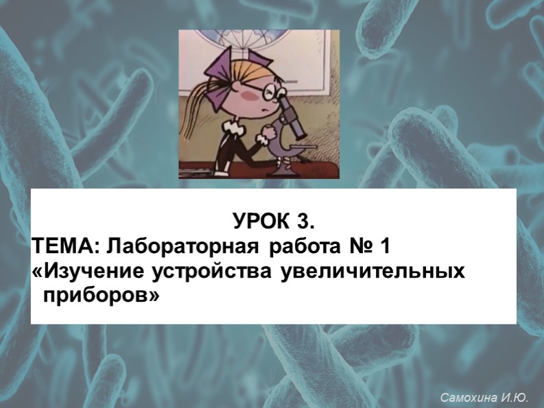 Презентация по биологии на тему "Лабораторная работа «Изучение устройства увеличительных приборов»" (5 класс) - Скачать школьные презентации PowerPoint бесплатно | Портал бесплатных презентаций school-present.com
