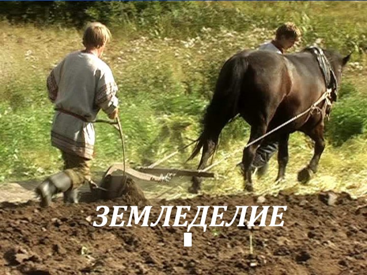 Презентация по географии" Земледелие" (9 класс) - Скачать школьные презентации PowerPoint бесплатно | Портал бесплатных презентаций school-present.com