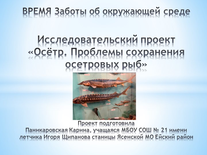 Исследовательский проект на тему: "Осётр. проблемы сохранения осетровых рыб" - Скачать школьные презентации PowerPoint бесплатно | Портал бесплатных презентаций school-present.com