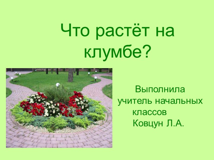 Презентация по окружающему миру на тему: "Что растёт на клумбе?" (1 класс) - Скачать школьные презентации PowerPoint бесплатно | Портал бесплатных презентаций school-present.com